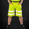 Result Safe-Guard Safety Cargo Shorts